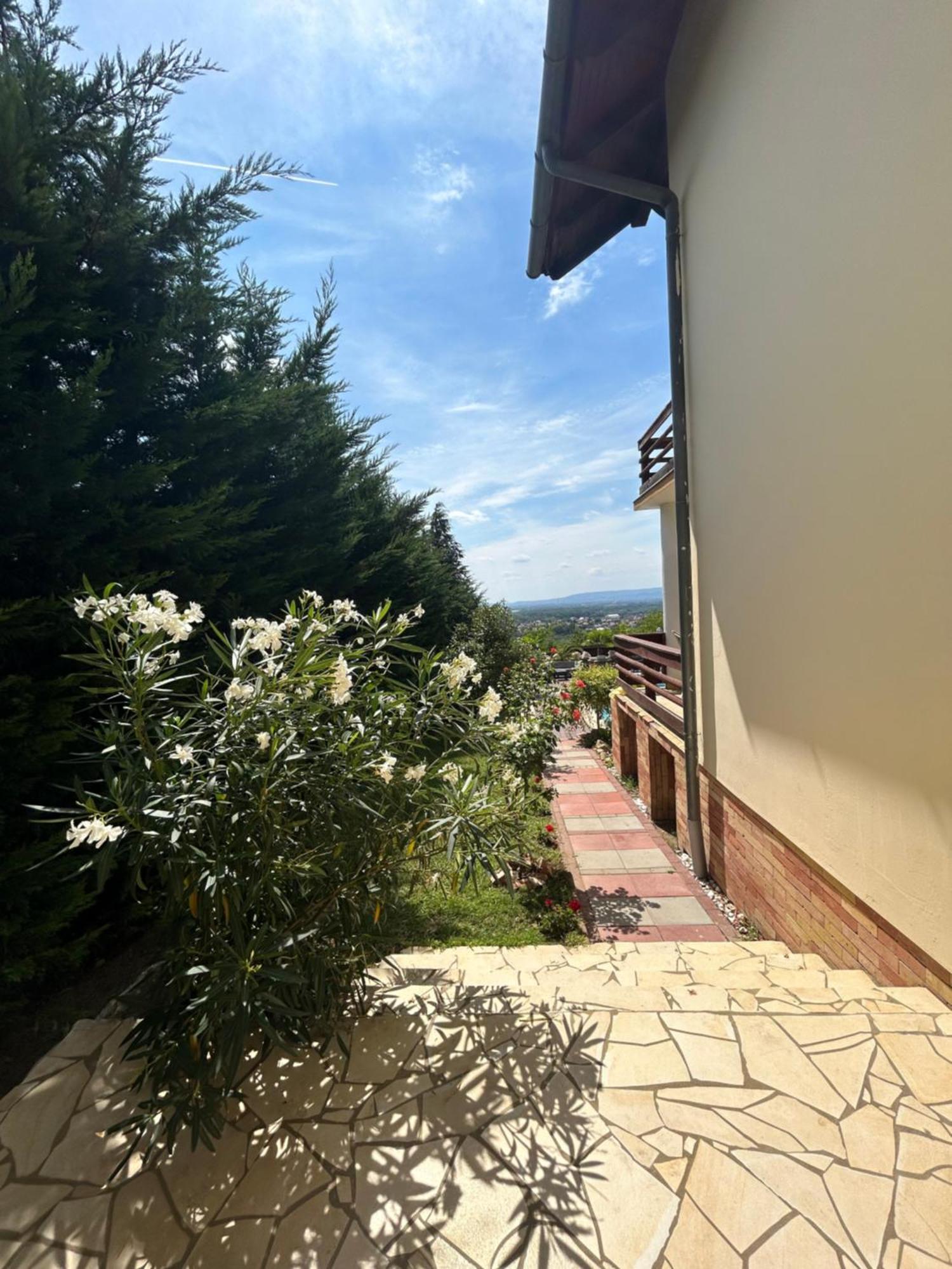 Fot Villa Somlyo מראה חיצוני תמונה